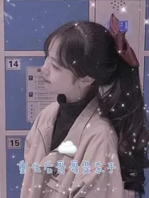 重生后哥哥是杀手
