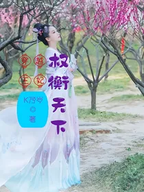穿越王妃权衡天下