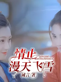 情止漫天飞雪