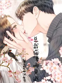 总裁猫妻哪里逃