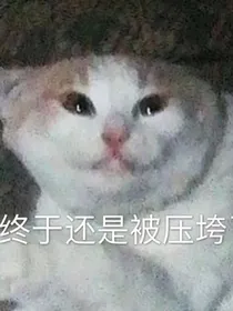 我：玛丽苏世界里唯一的正常人