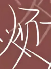 盛盛的杂文集