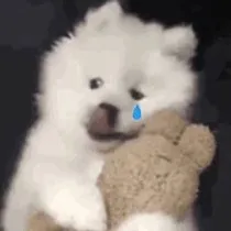 初中生活：暗恋那些小事