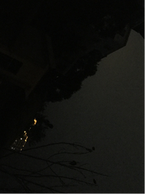 小花仙重回赛尔号