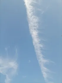 青春幻梦
