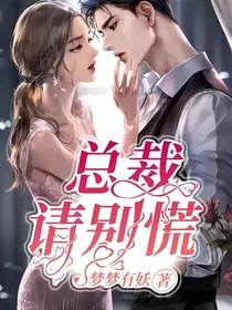 总裁请别慌