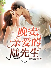 晚安，亲爱的陆先生