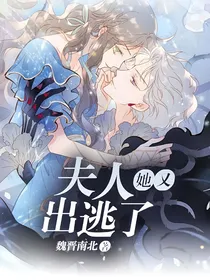 夫人她又出逃了