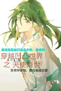 穿越凹凸世界之天使降世