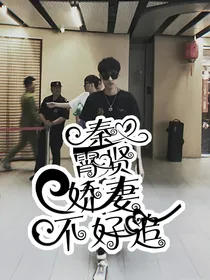 秦霄贤：娇妻不好追