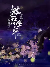 甄嬛传之锦瑟华年