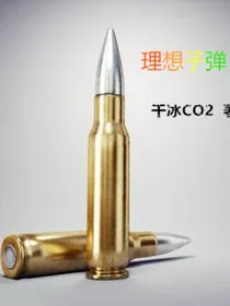 理想子弹