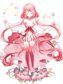 小花仙：双色山茶花