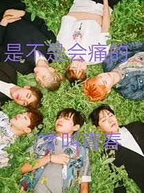 BTS：青春文学录