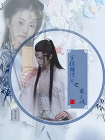 穿越陈情令：爱无魂