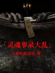 灵魂事录大乱