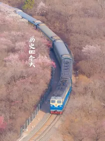 BTS一起成长