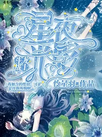 斗龙战士之星夜光影