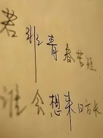 哲——样青春