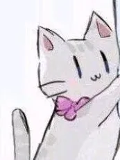 意外变成猫来到凹凸学院