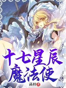 十七星辰魔法使