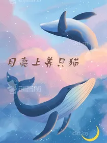 月亮上养猫