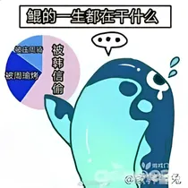 帝雨天晴-d767