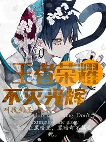 王者荣耀：不灭光辉
