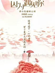 因为遇见你之续写
