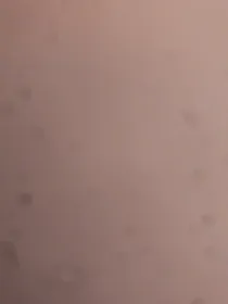 任务打怪升级