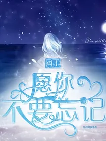 新网球王子之愿你不要忘记