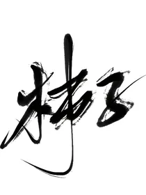 柿子炒鸡蛋日常