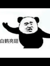 神奇的一天