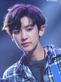 朴灿烈——流星