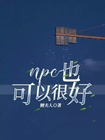 npc也可以很好