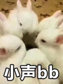 作者与朋友日常