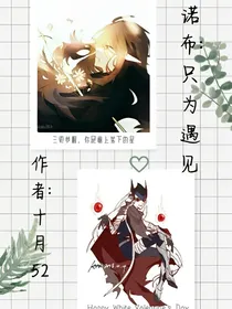 诺布：只为遇见