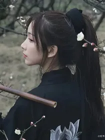 邪王独宠小王纪