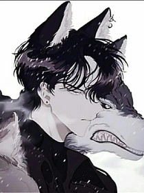 林正万界