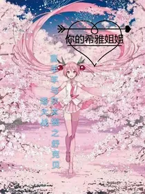 喜羊羊与灰太狼之舒克贝塔大战