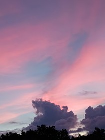 风起花落