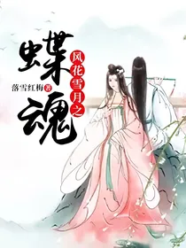 风花雪月之蝶魂