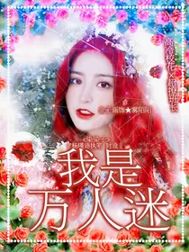 星温杂货铺-d248