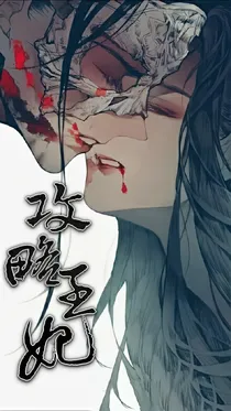 攻略王妃