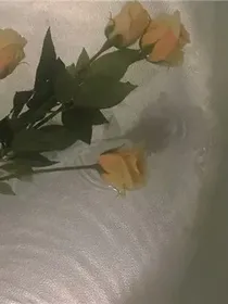 秋日的轻语