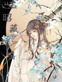 玉昭藏琼瑶