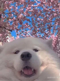 喜欢的片段和喜欢的你