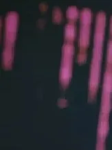 随便的练笔