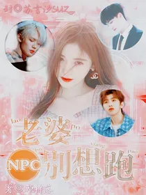 NPC：老婆，别想跑