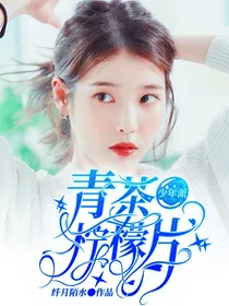 少年派：青茶柠檬片
